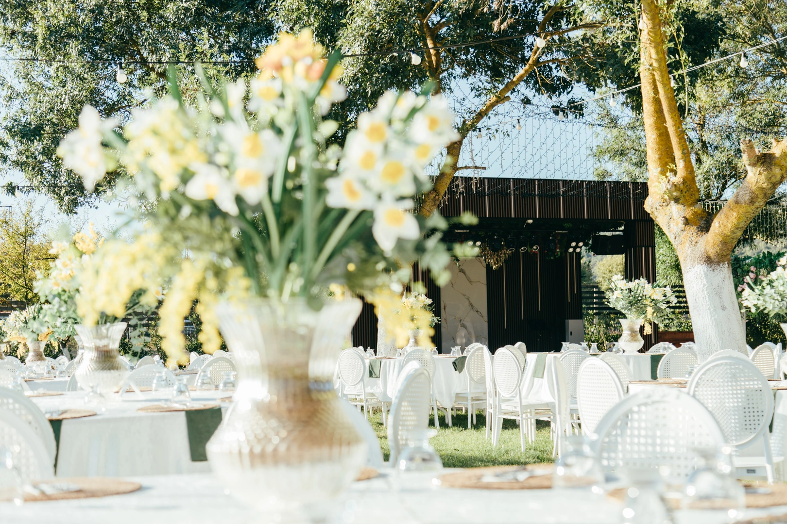 Doğum Günü Partisi